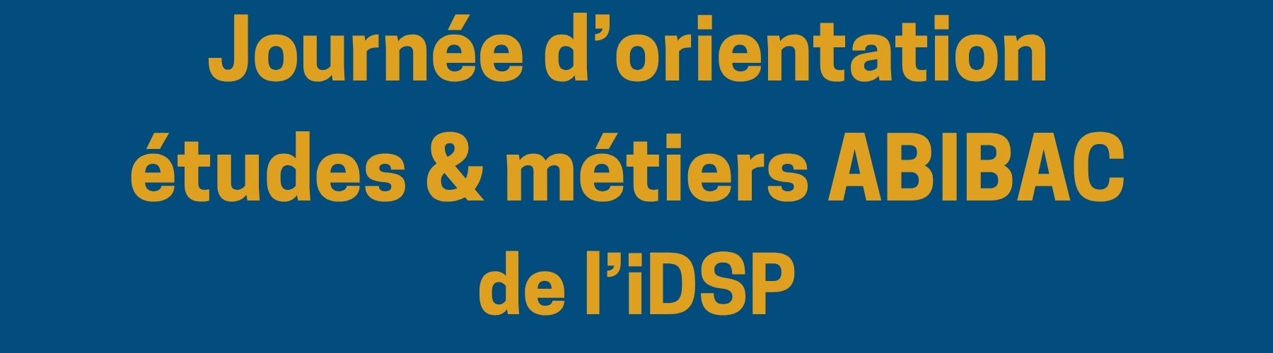 iDSPerspective (1)